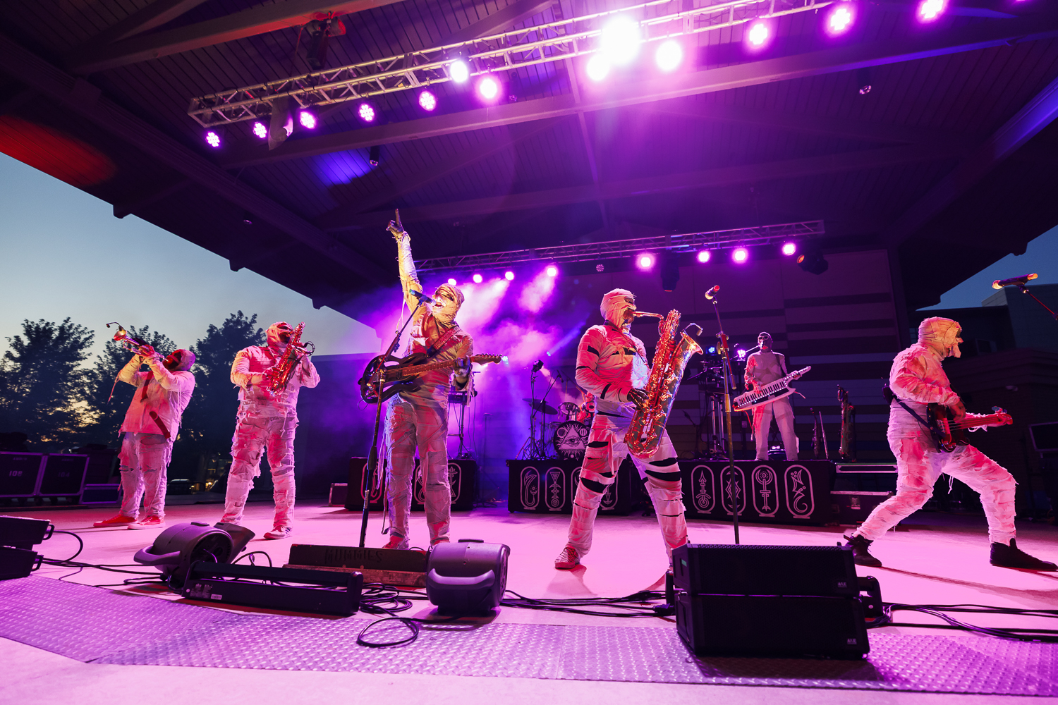 Here Come The Mummies live performance